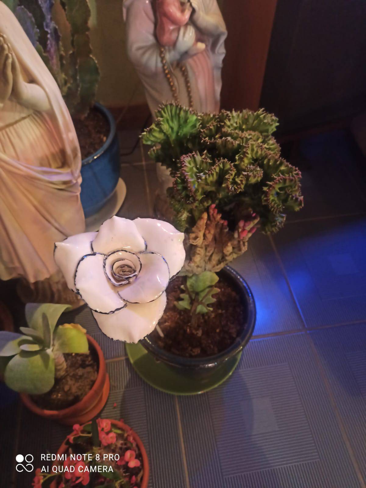 Rose blanche liserée — fleur en céramique, Éclosions Brutes