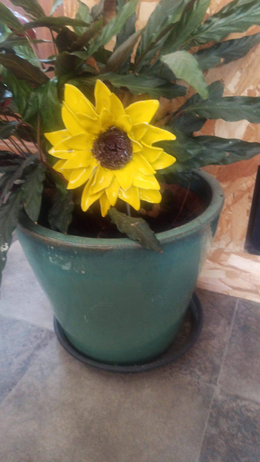 Tournesol — fleur en céramique, Éclosions Brutes