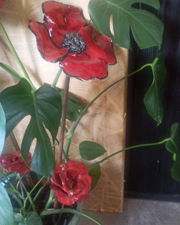 Coquelicot rouge
