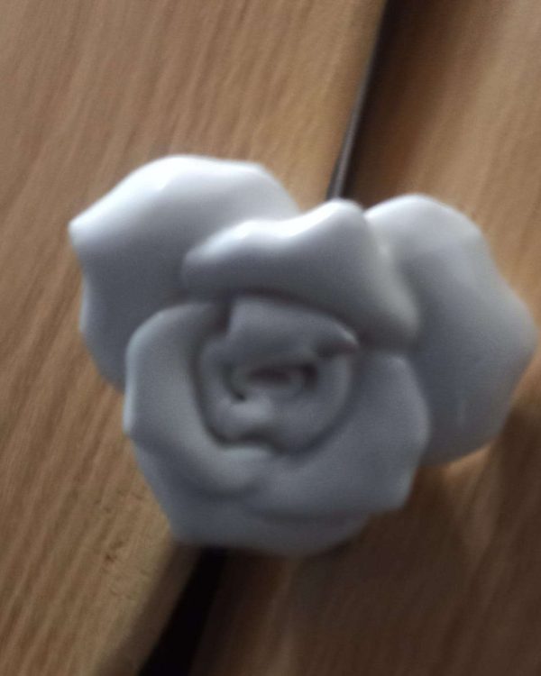 Rose gris perle