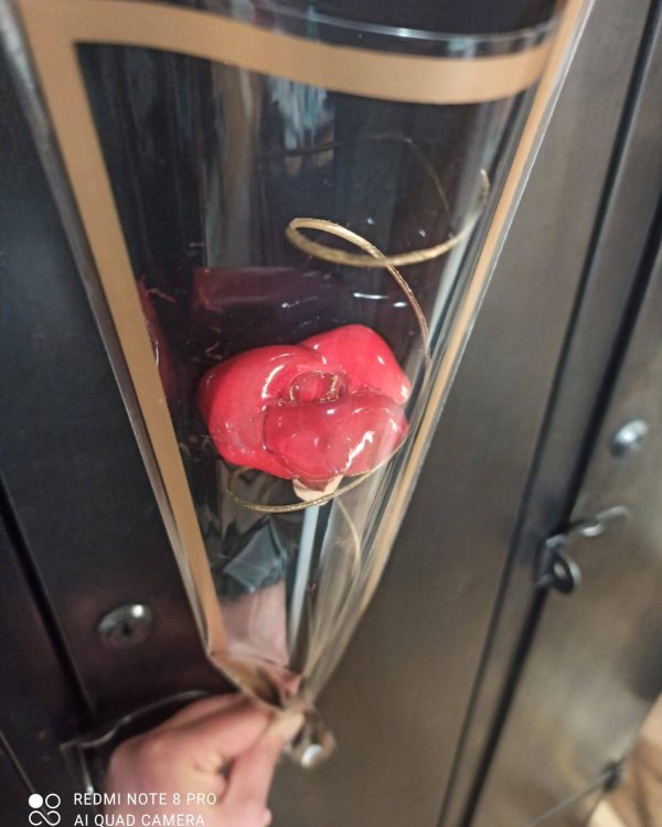 Rose à offrir