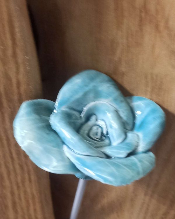 Rose turquoise