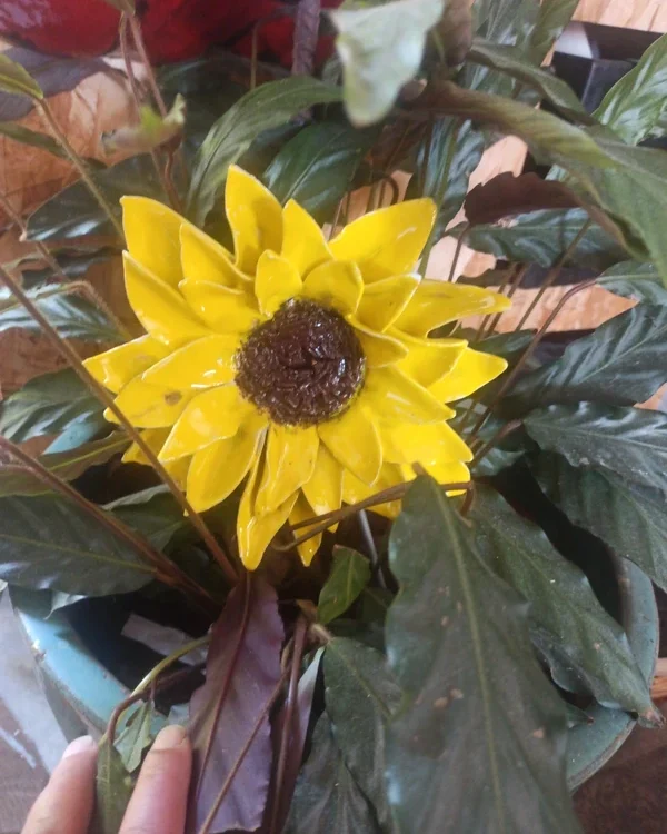 Tournesol au jardin